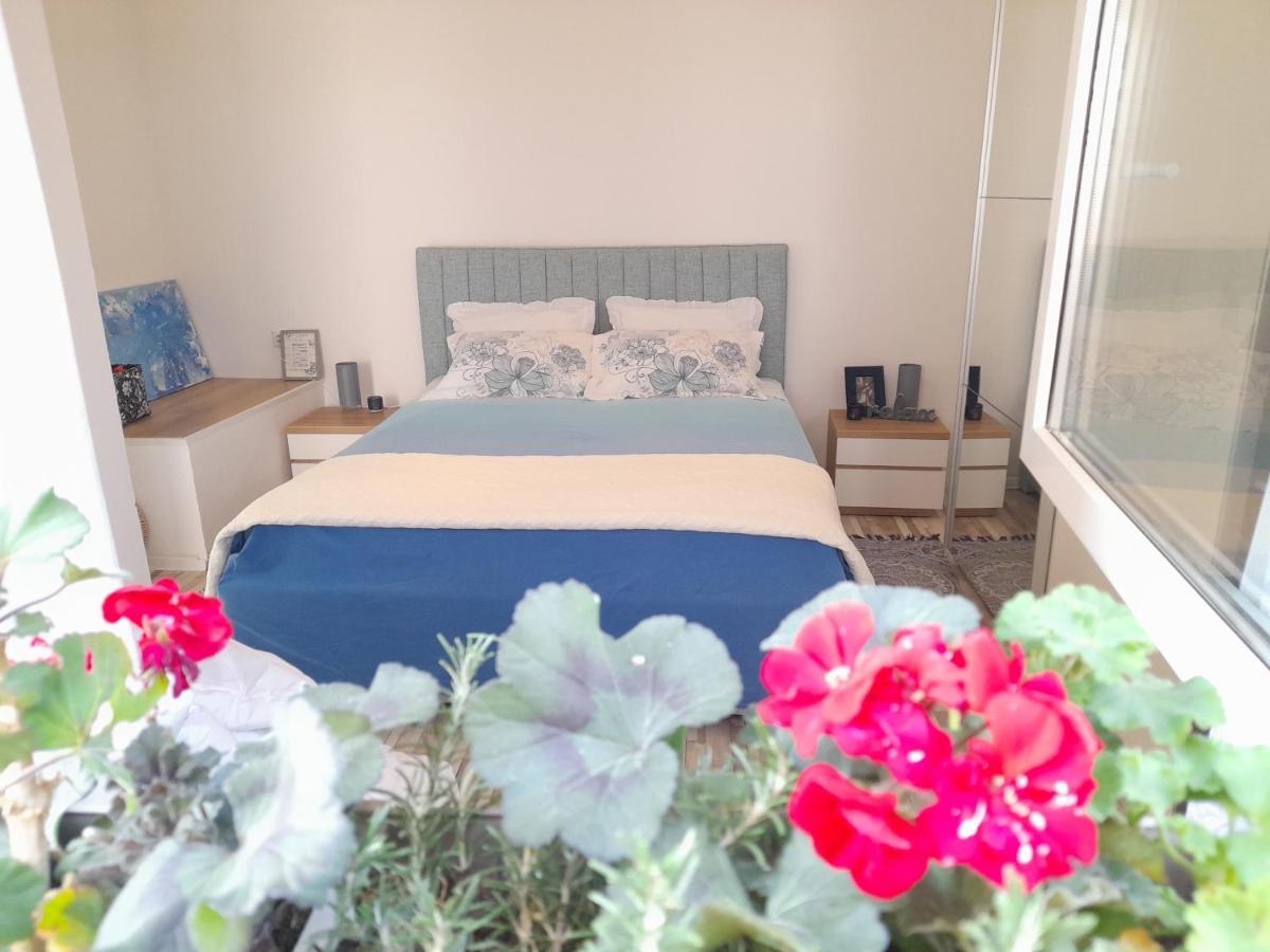 Nautica Free Parking Apartman Šibenik Kültér fotó